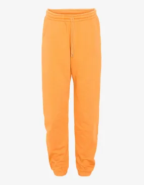 Organic Sweatpants - Sandstone Orange